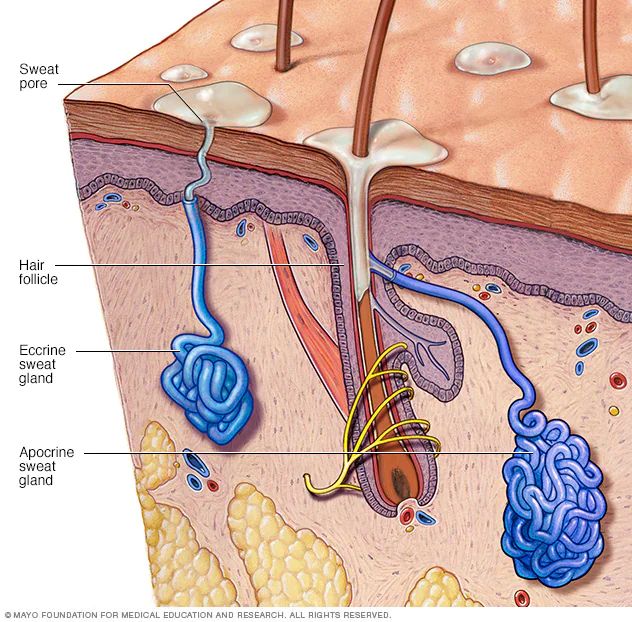 Treatment Process